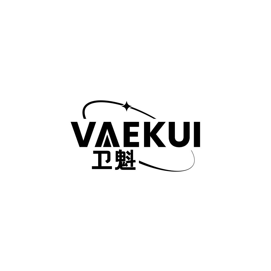 卫魁   VAEKUI