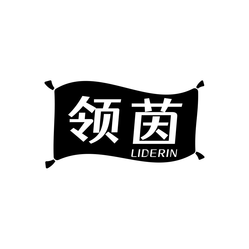 领茵 LIDERIN