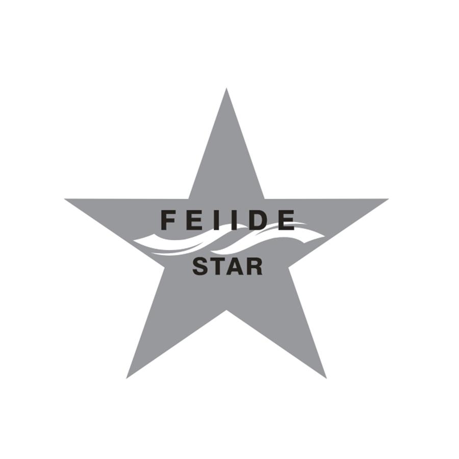 FEIIDESTAR