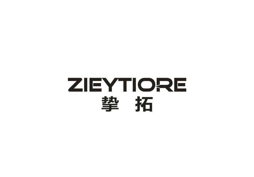 挚拓