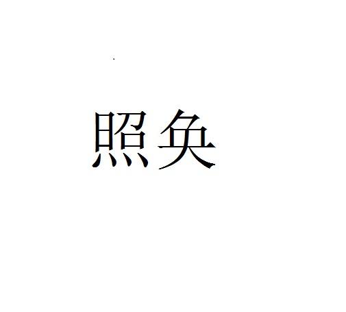 照奂
