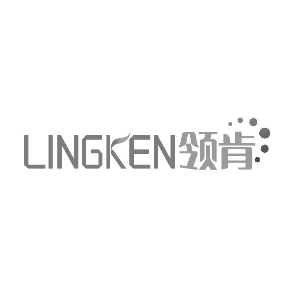 领肯LINGKEN