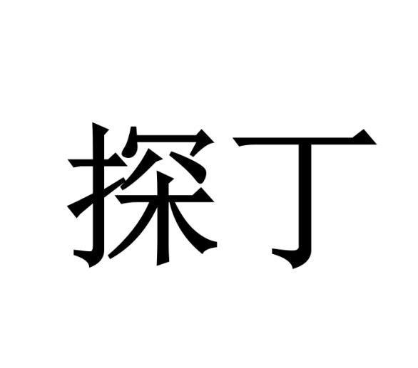探丁