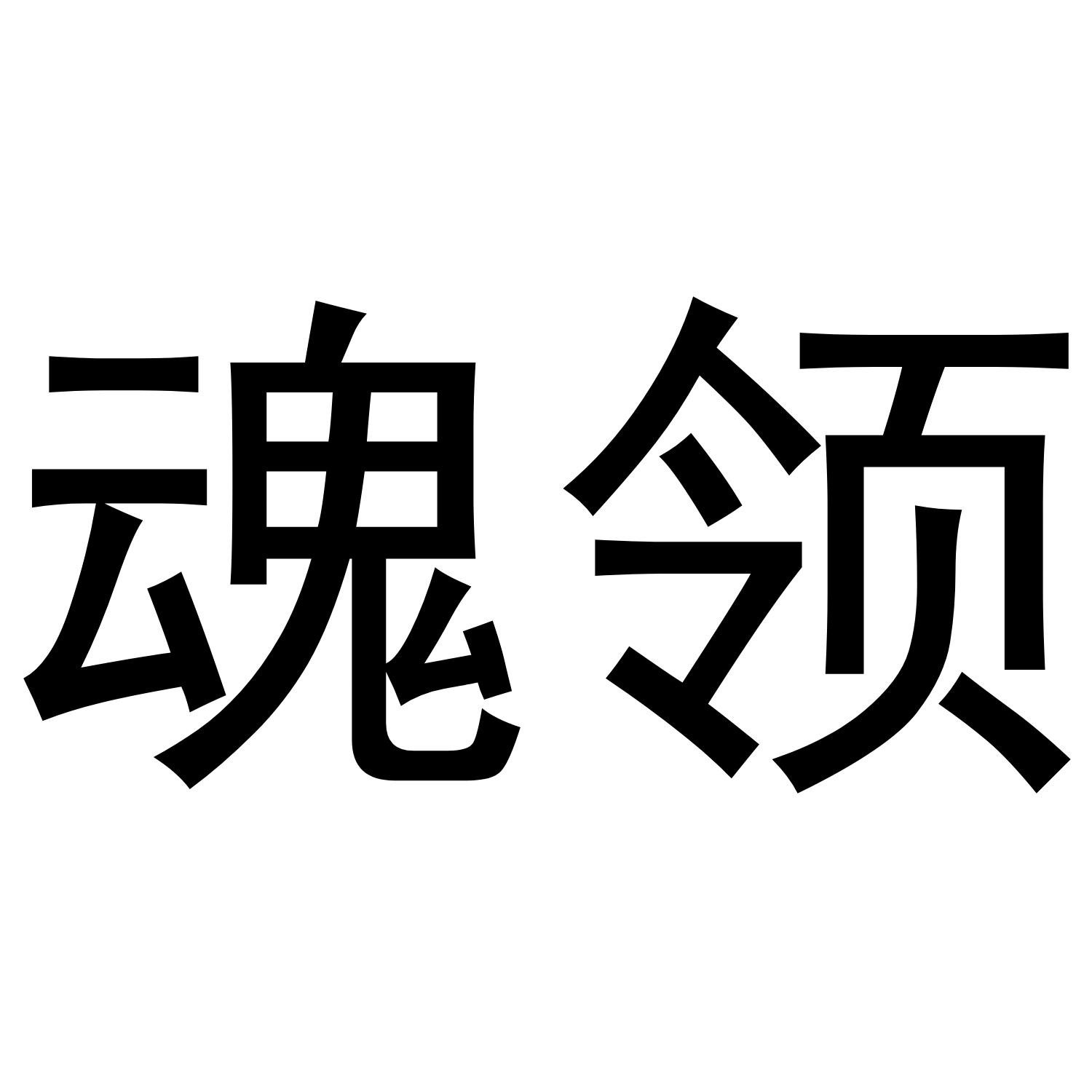 魂领