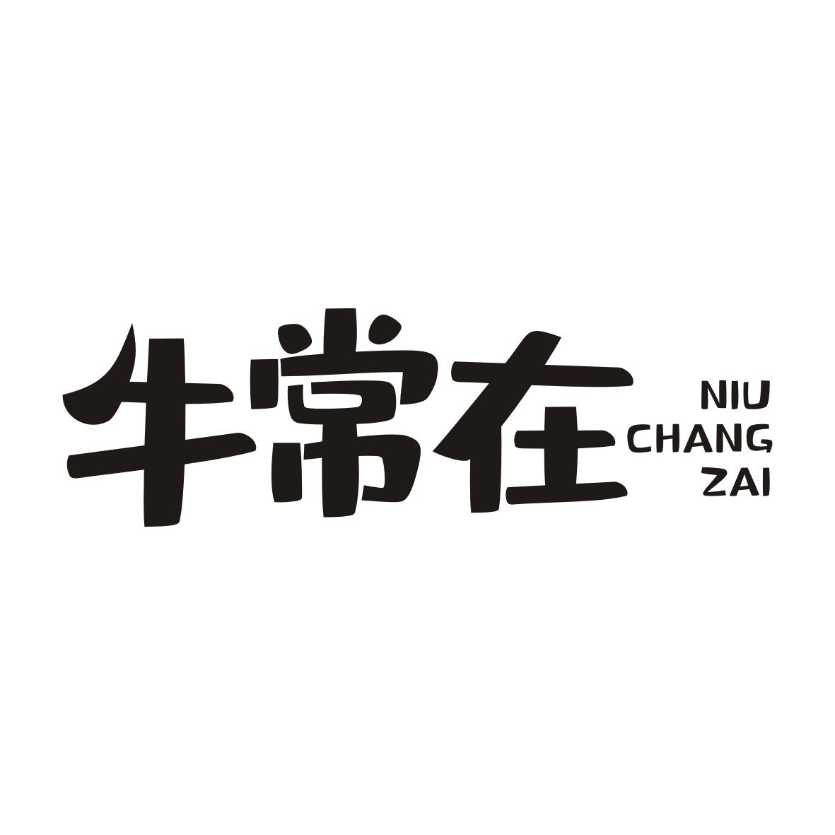 牛常在NIUCHANGZAI