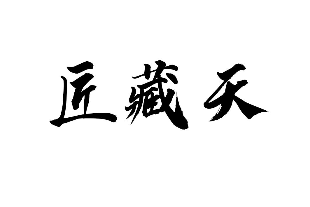匠藏天