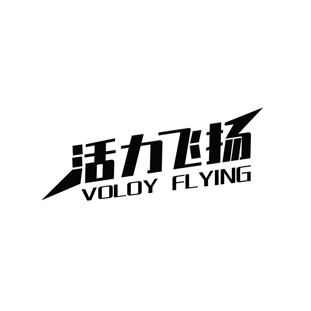 活力飞扬 VOLOY FLYING