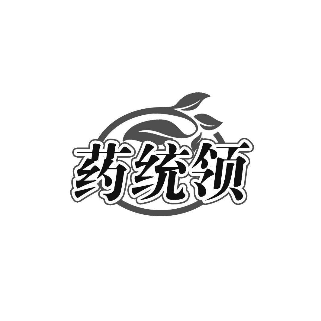 药统领