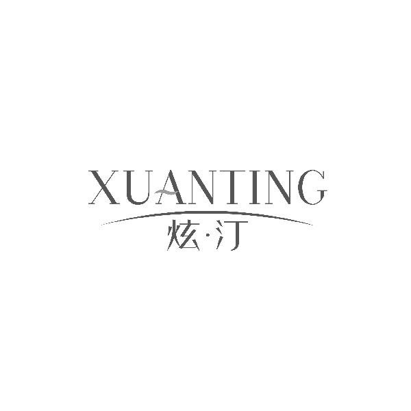 炫汀XUANTING