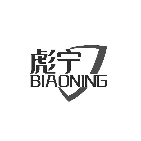 彪宁BIAONING