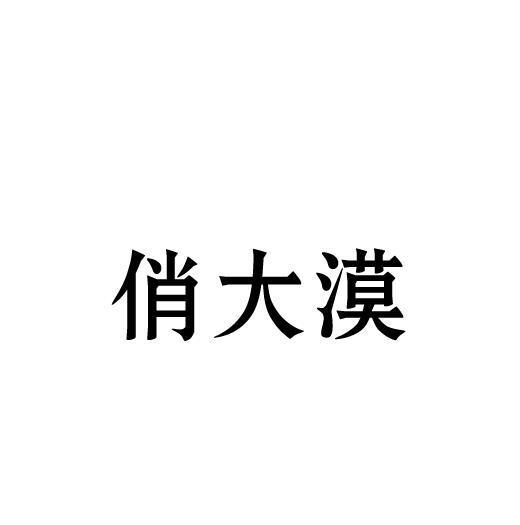 俏大漠