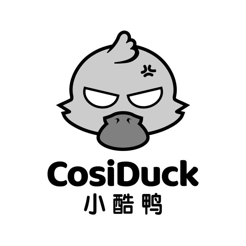 小酷鸭
COSIDUCK