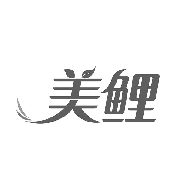 美鲤