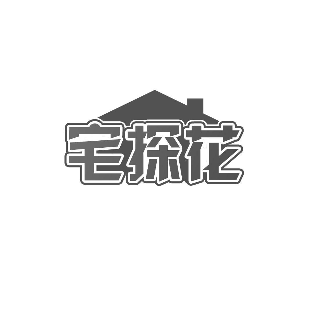 宅探花
