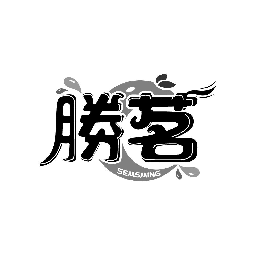 胜茗
SEMSMING