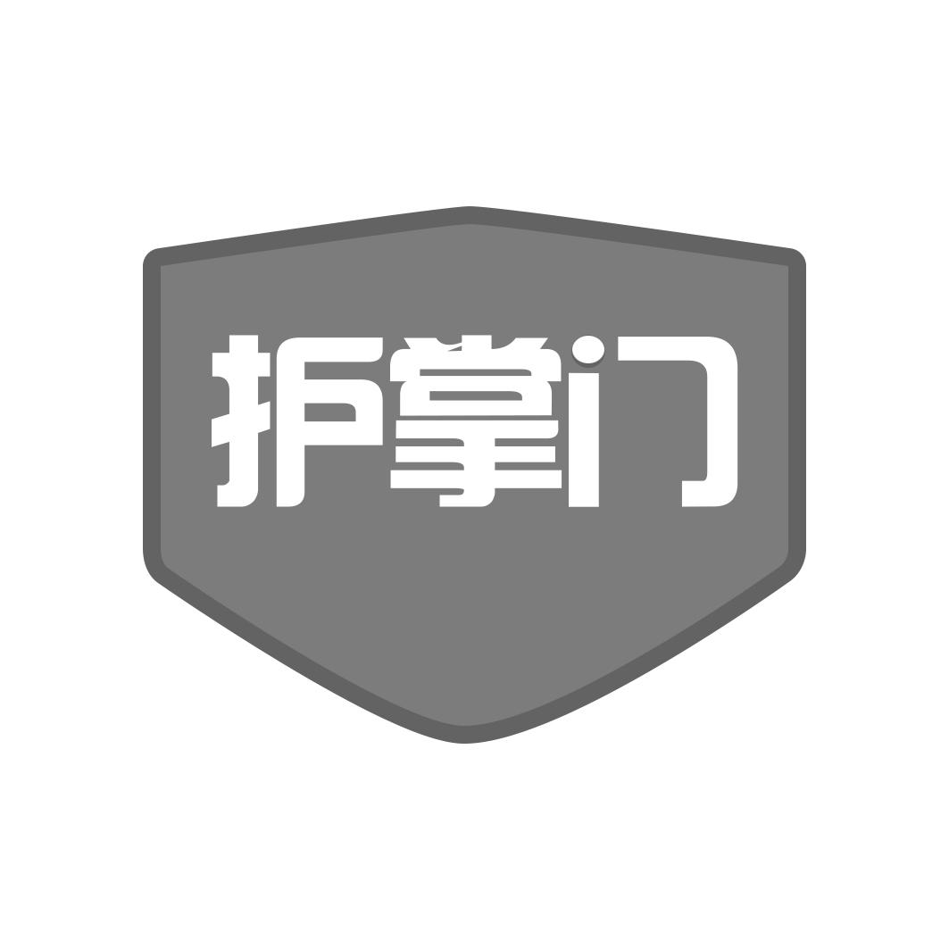 护掌门