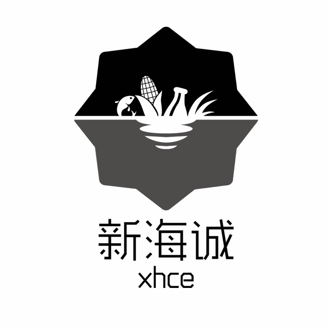 新海诚 XHCE 