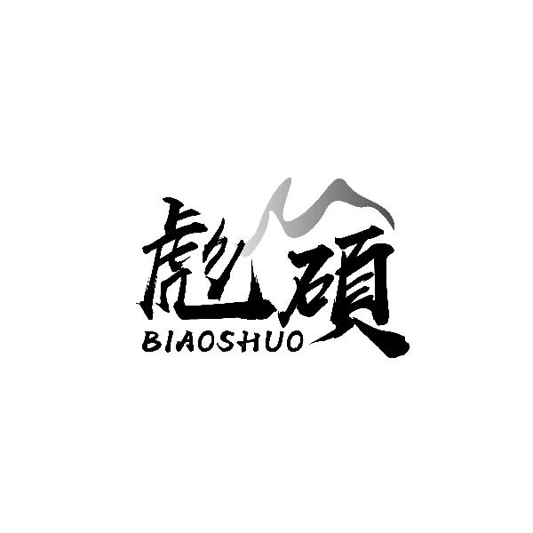 彪碩BIAOSHUO