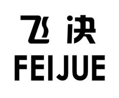 飞决