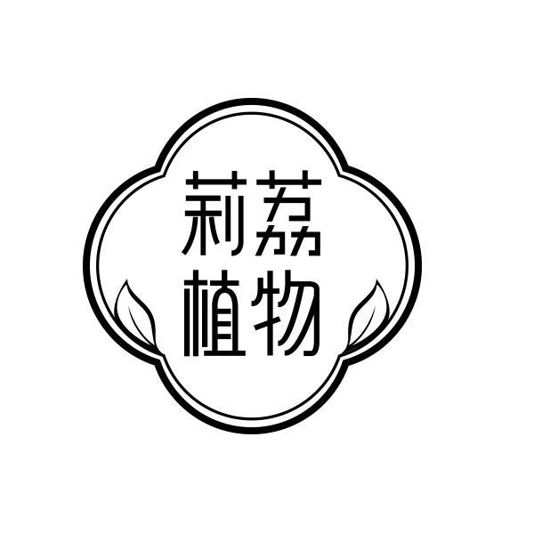 莉荔植物