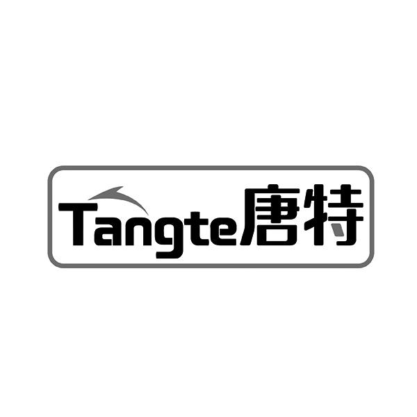 唐特TANGTE