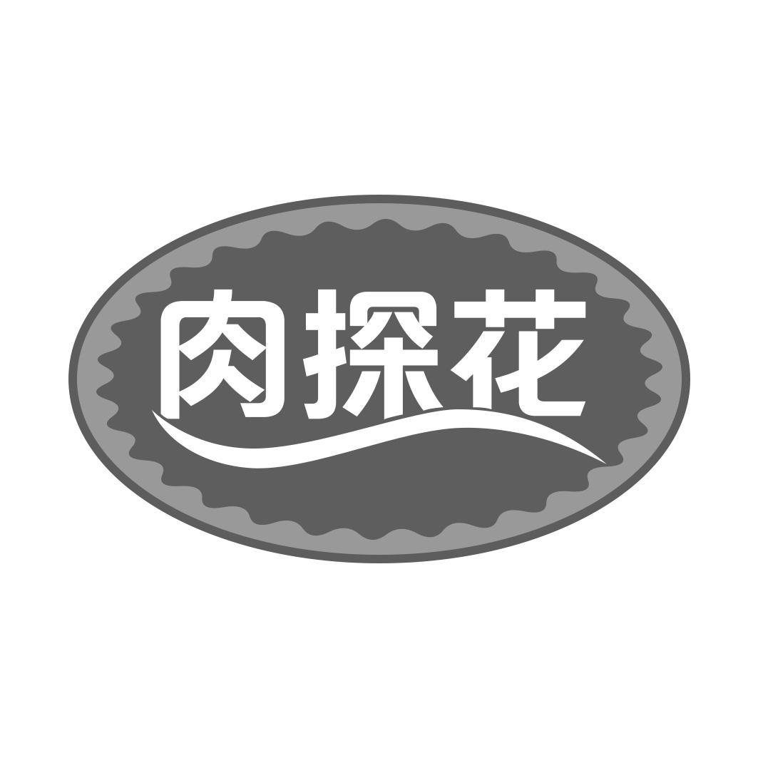 肉探花
