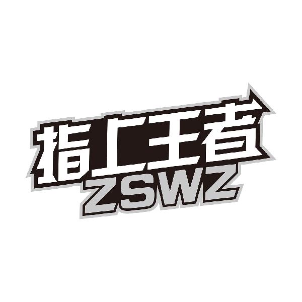指上王者
ZSWZ