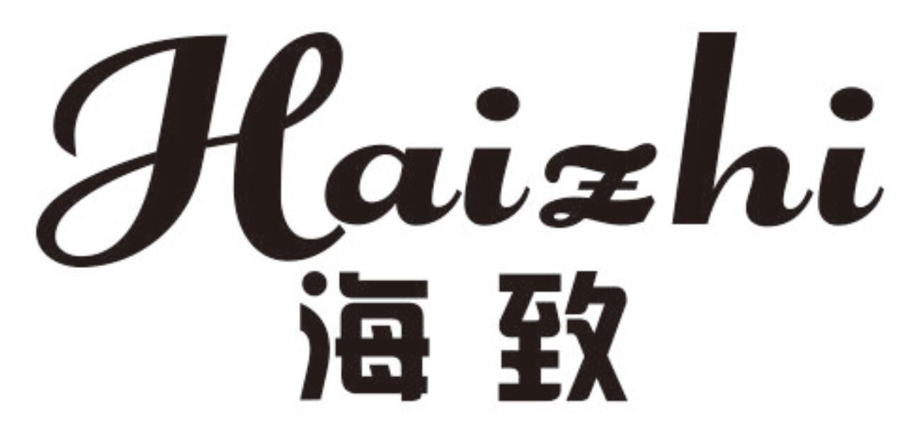 海致HAIZHI