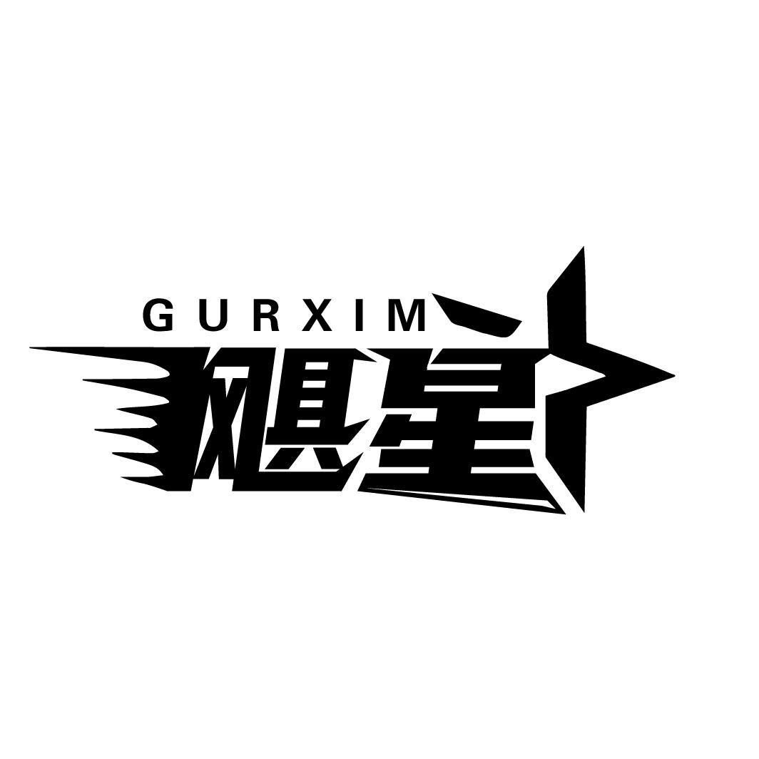 飓星
GURXIM