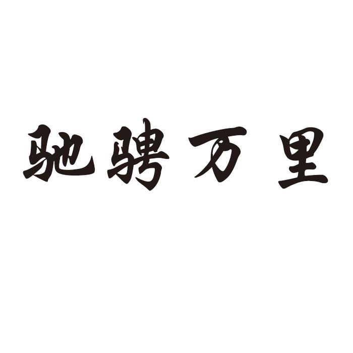 驰骋万里