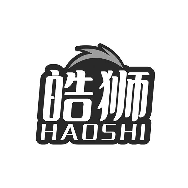 皓狮HAOSHI