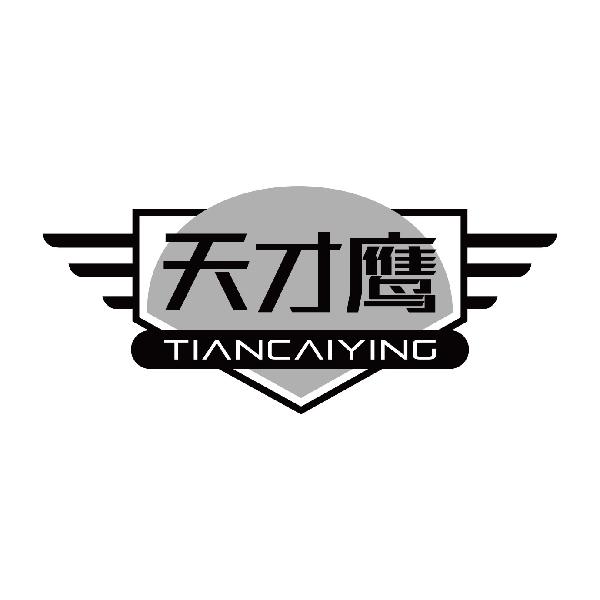 天才鹰
tiancaiying