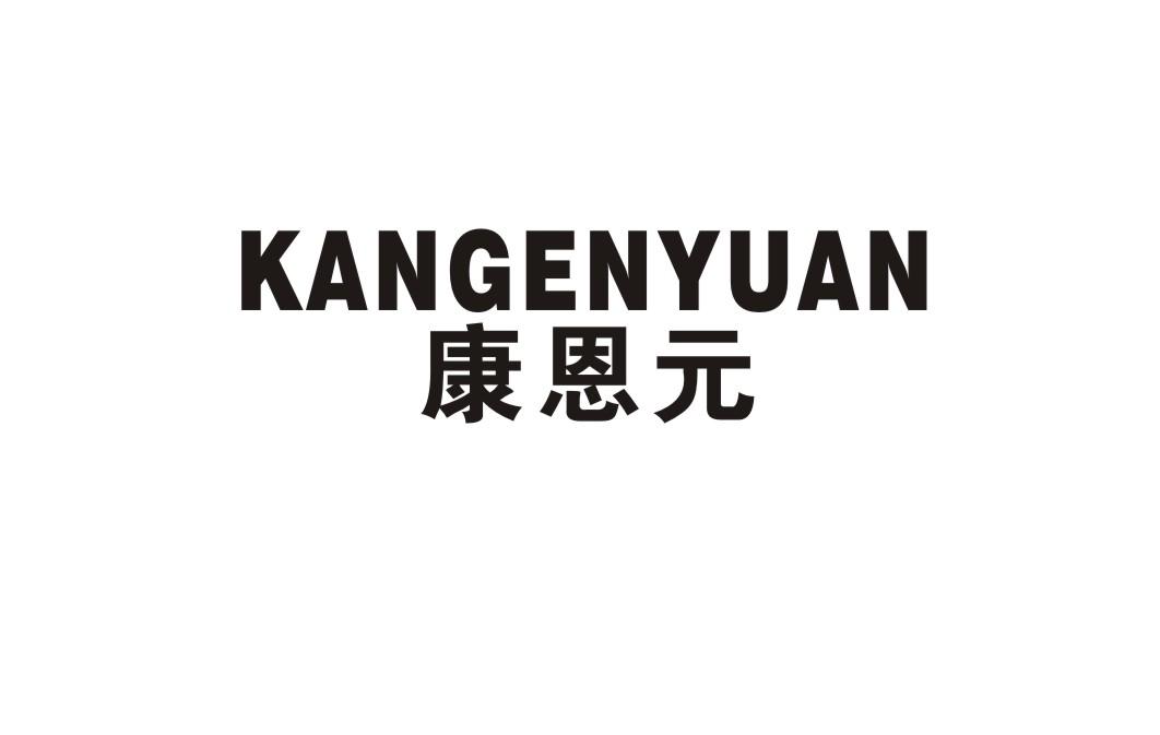 康恩元