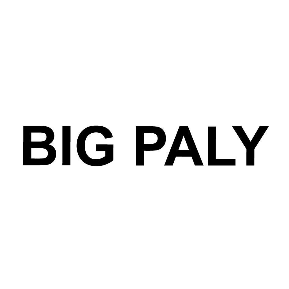 BIG PALY
