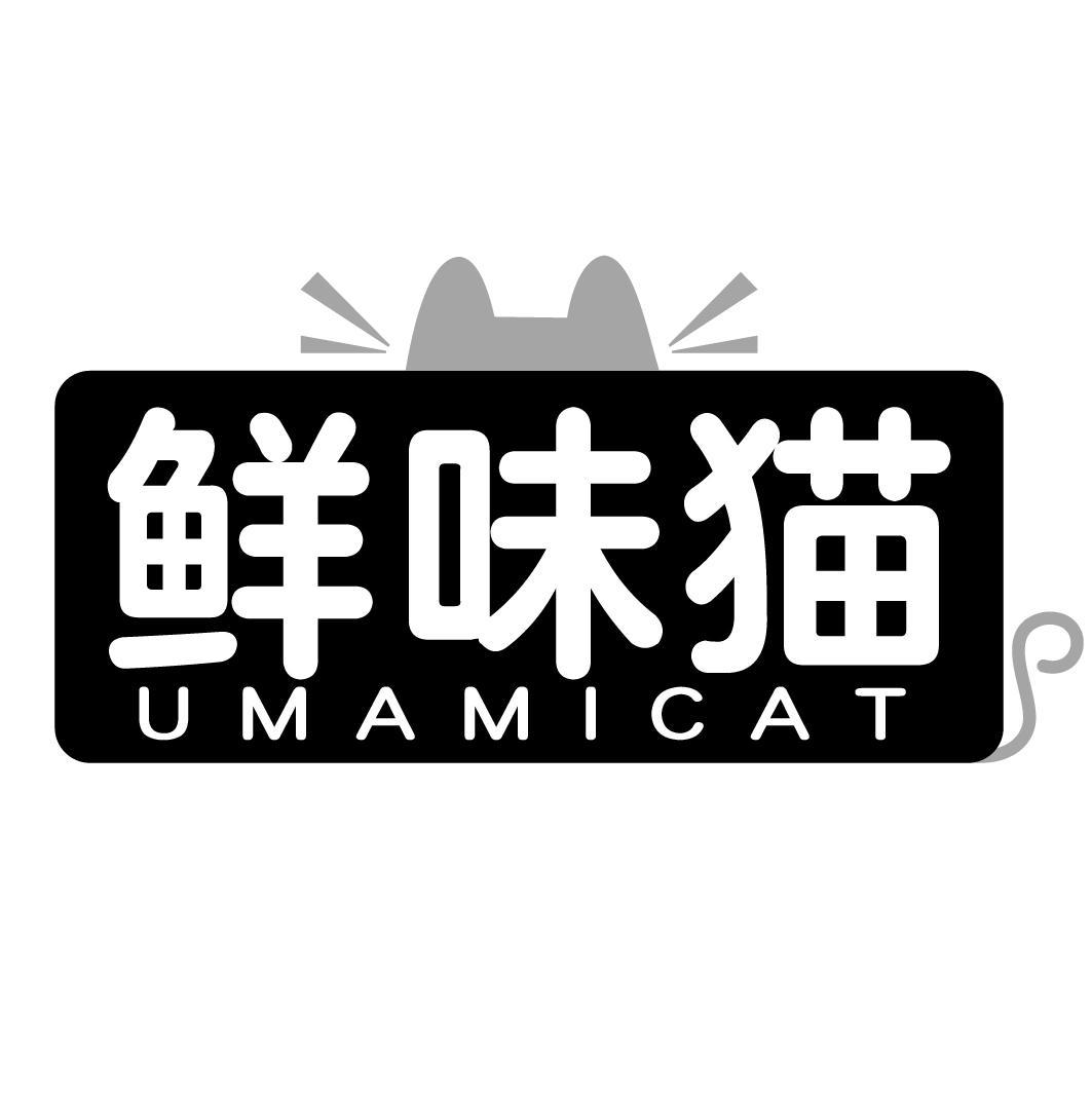 鲜味猫umamicat