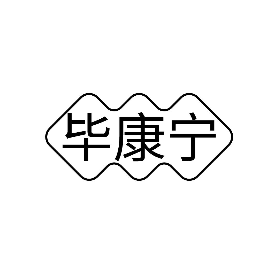 毕康宁
