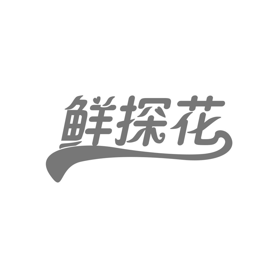 鲜探花