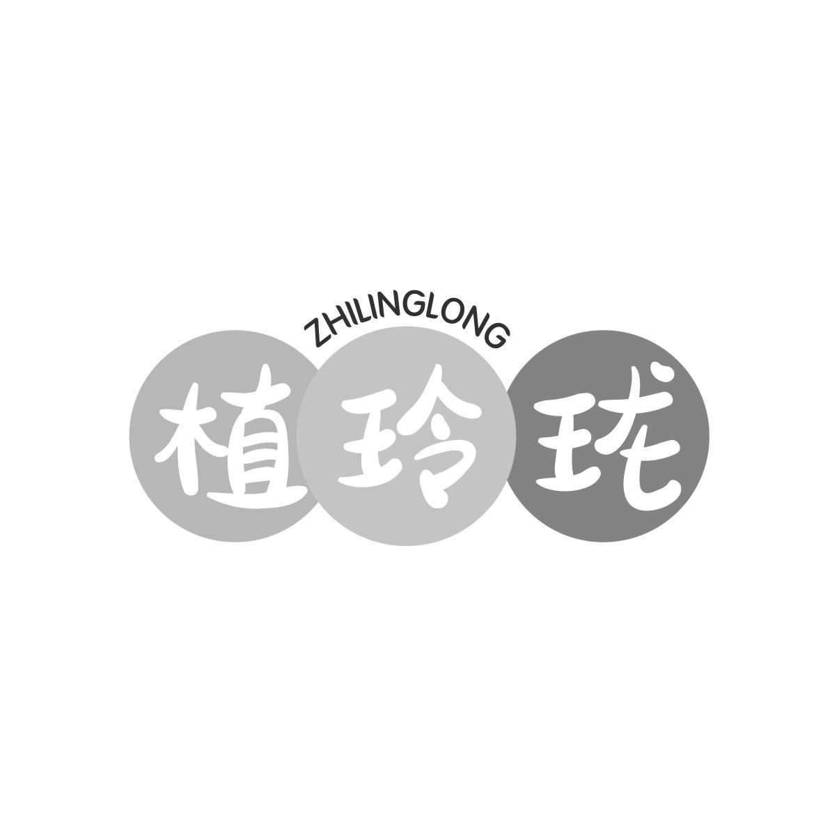 植玲珑
ZHILINGLONG
