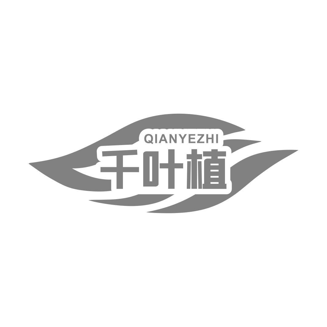千叶植QIANYEZHI