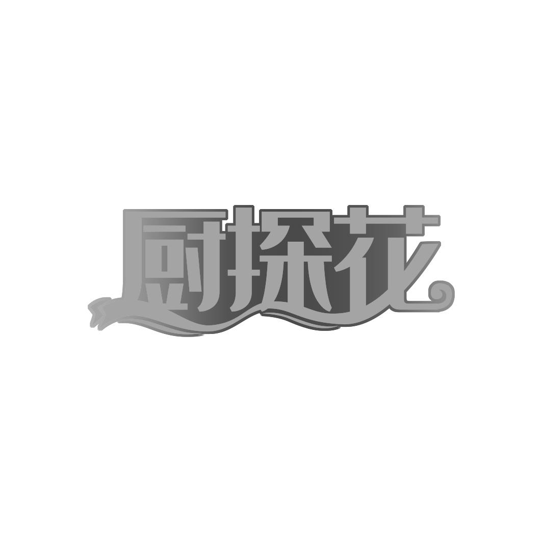 厨探花