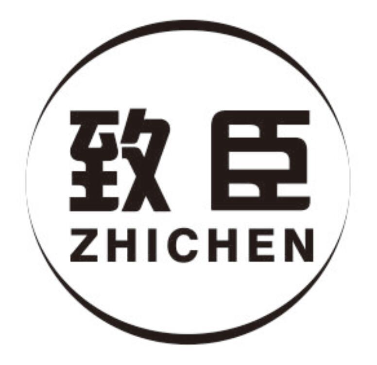 致臣
