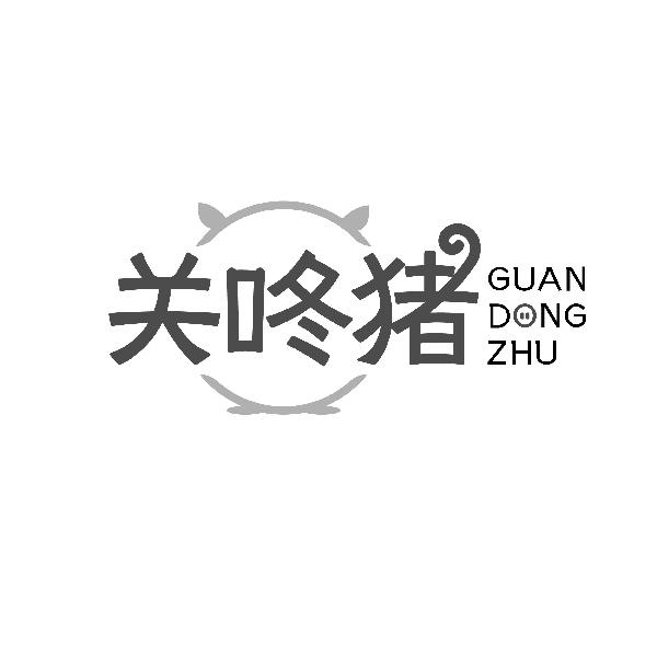 关咚猪GUANDONGZHU