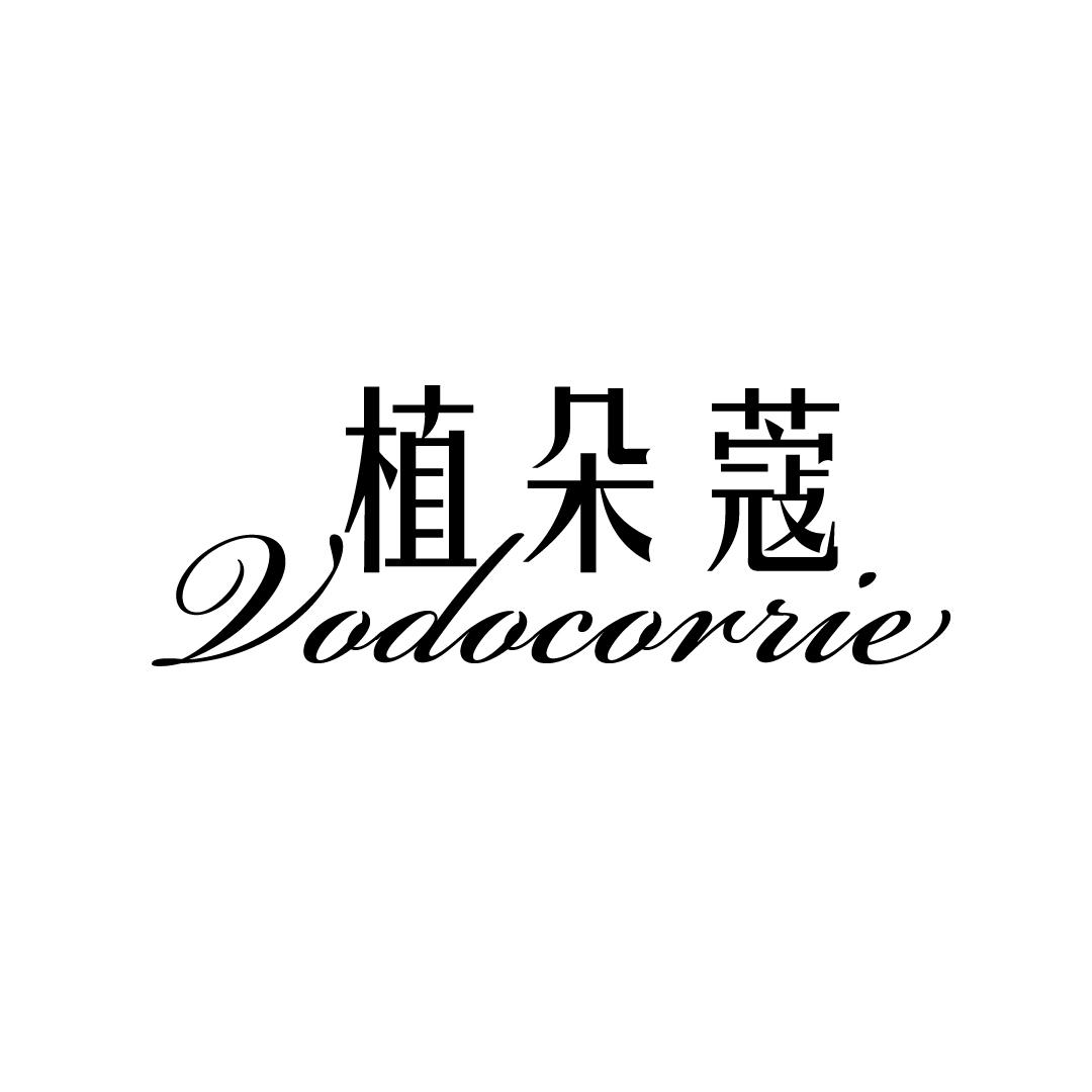 植朵蔻 VODOCORRIE