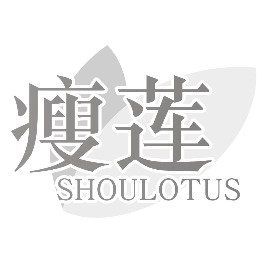瘦莲  SHOULOTUS