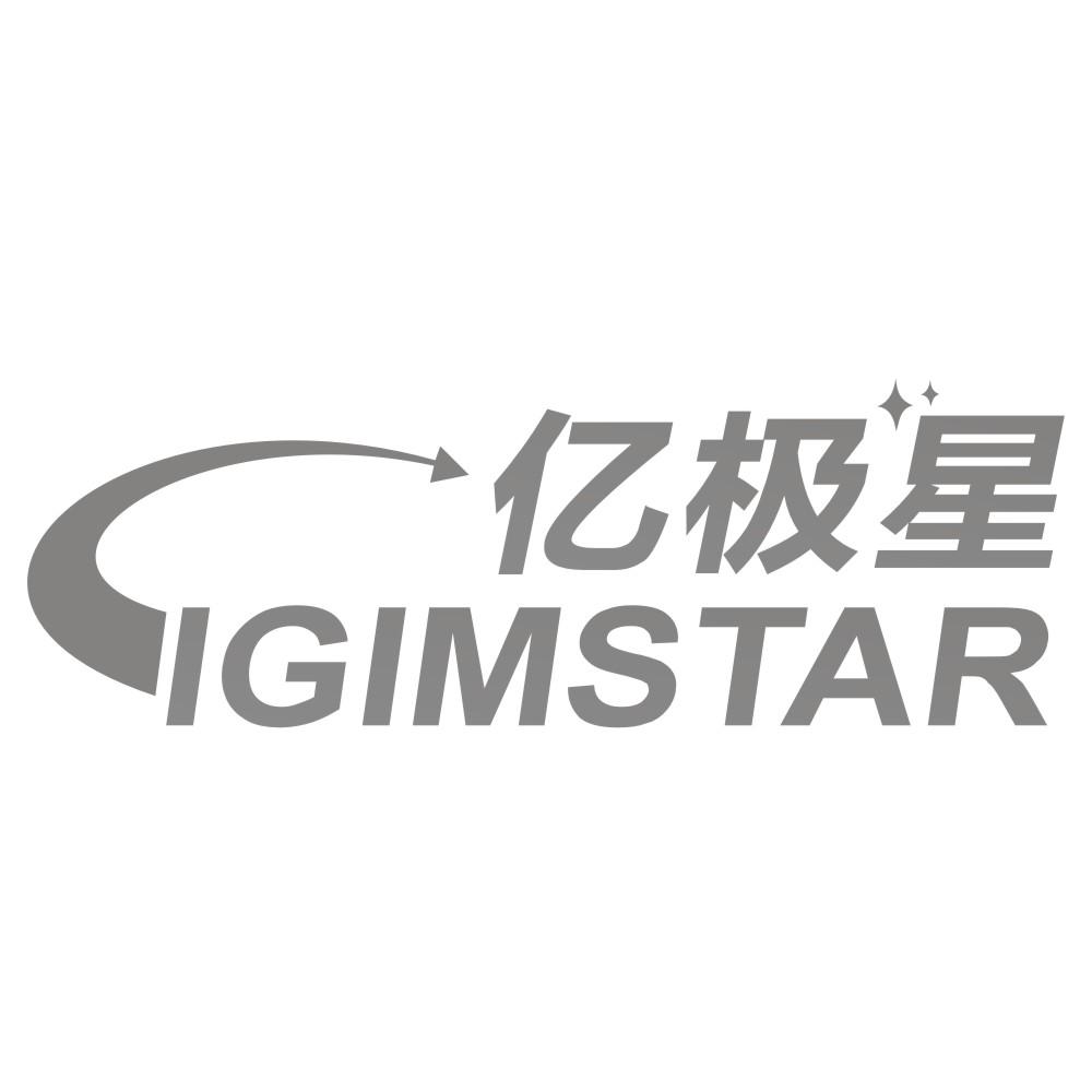 亿极星IGIMSTAR