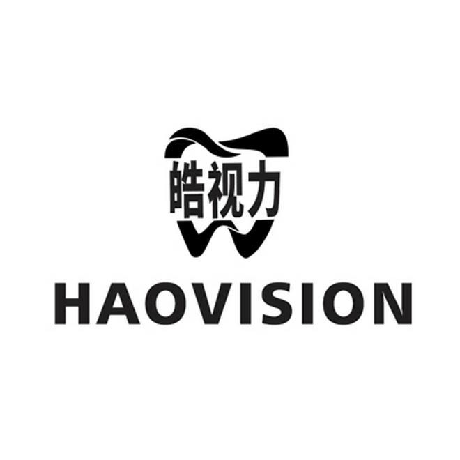 皓视力
HAOVISION
