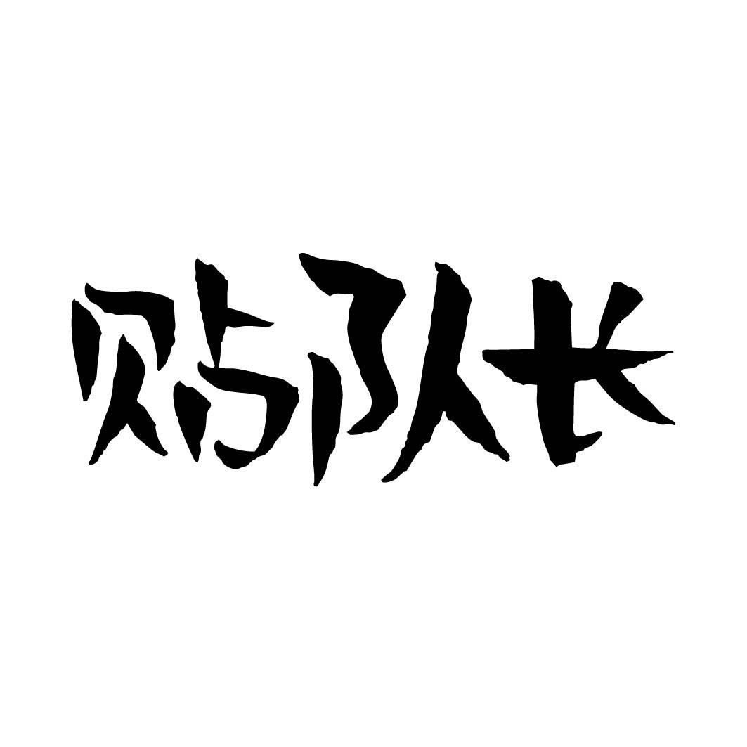 贴队长