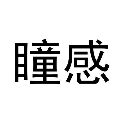 瞳感