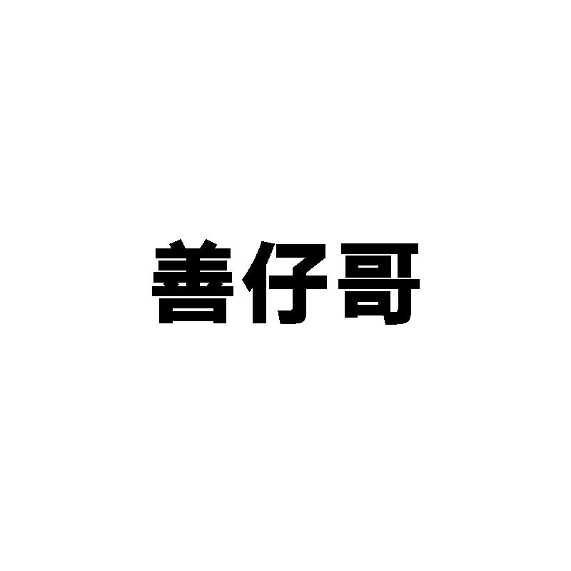 善仔哥