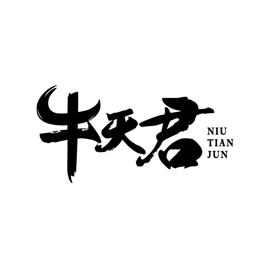 牛天君NIUTIANJUN